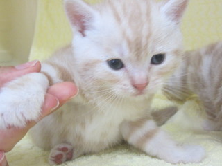 20120831 049.jpg