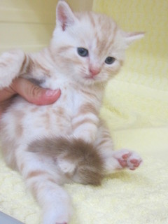 20120831 050.jpg