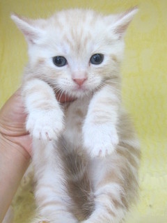 20120831 052.jpg