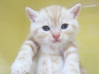 20120831 054.jpg