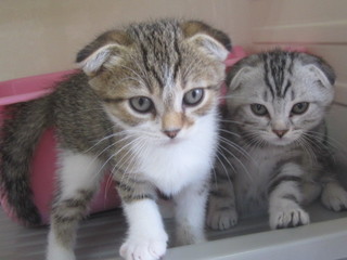 20120831 007.jpg