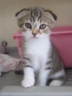 20120831 010.jpg