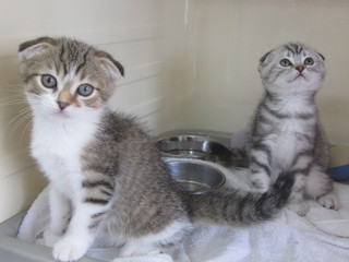 20120831 013.jpg