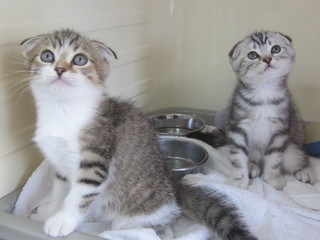 20120831 014.jpg