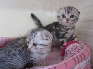 20130330 002.jpg