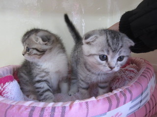 20130330 005.jpg